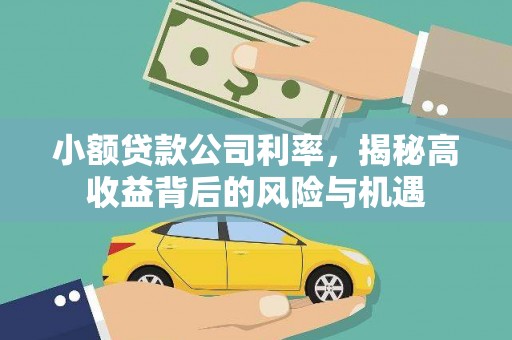 长葛小额贷款公司利率，揭秘高收益背后的风险与机遇