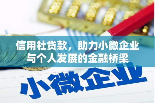雷州信用社贷款，助力小微企业与个人发展的金融桥梁