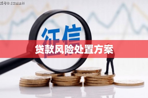 甘井子贷款风险处置方案
