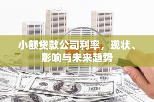 铜仁小额贷款公司利率，现状、影响与未来趋势