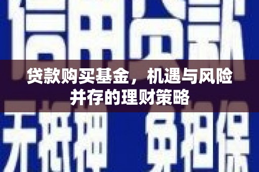 岳塘贷款购买基金，机遇与风险并存的理财策略
