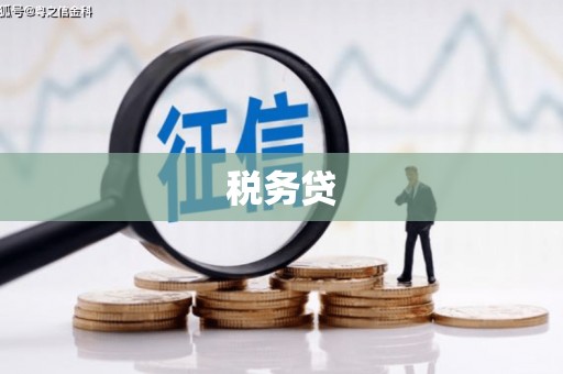 林园税务贷