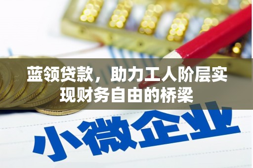 蒙阴蓝领贷款，助力工人阶层实现财务自由的桥梁