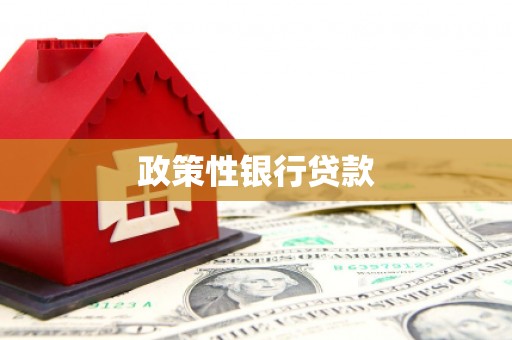 钦州政策性银行贷款