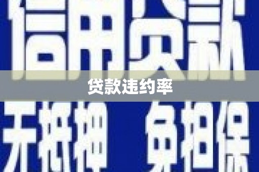 卓尼贷款违约率