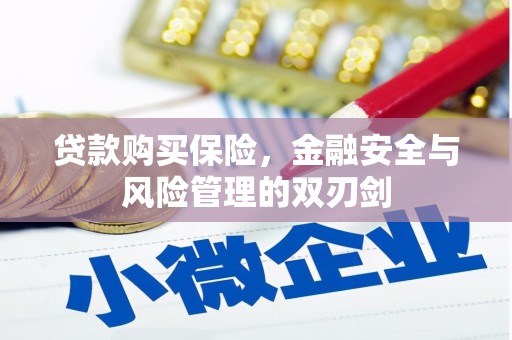 吉州贷款购买保险，金融安全与风险管理的双刃剑