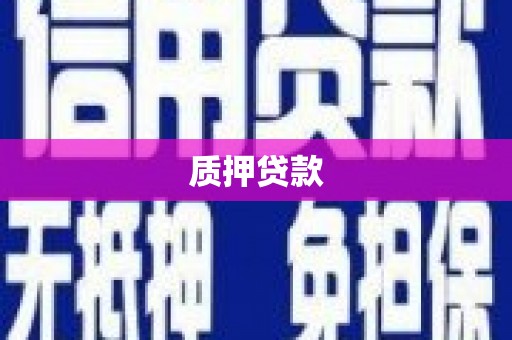 九台质押贷款