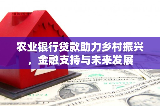 凉山农业银行贷款助力乡村振兴，金融支持与未来发展
