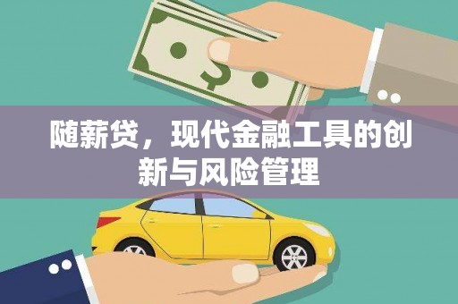 德阳随薪贷，现代金融工具的创新与风险管理
