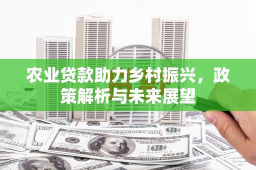 冕宁农业贷款助力乡村振兴，政策解析与未来展望