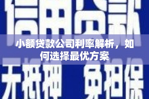 潍城小额贷款公司利率解析，如何选择最优方案