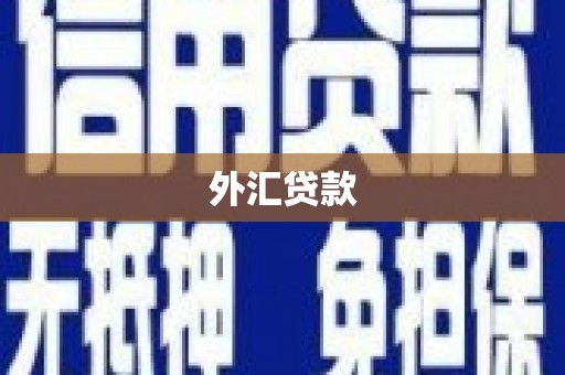 沙依巴克外汇贷款