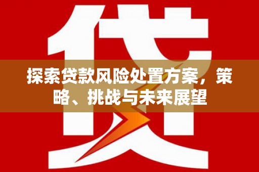 左营探索贷款风险处置方案，策略、挑战与未来展望