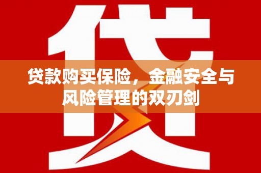 阜康贷款购买保险，金融安全与风险管理的双刃剑