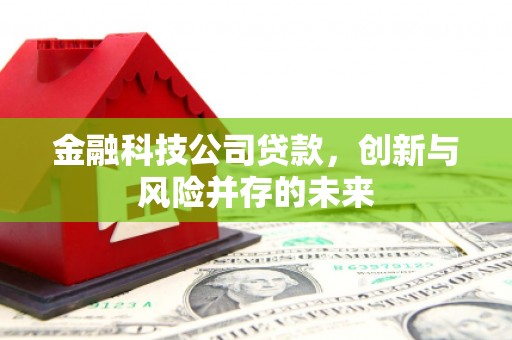 沙坡头金融科技公司贷款，创新与风险并存的未来