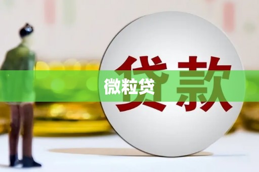 陕西微粒贷