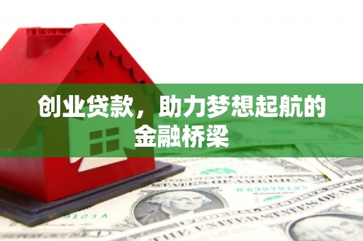 泸水创业贷款，助力梦想起航的金融桥梁