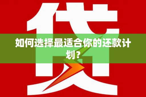 临夏如何选择最适合你的还款计划？