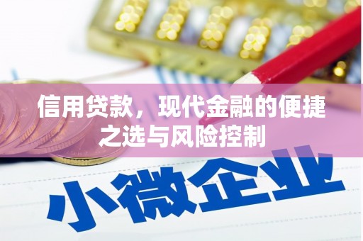 盐津信用贷款，现代金融的便捷之选与风险控制