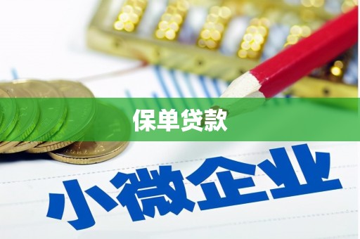 丹凤保单贷款