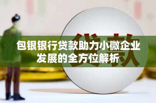 嘉黎包银银行贷款助力小微企业发展的全方位解析