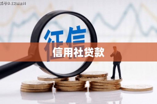 新营信用社贷款