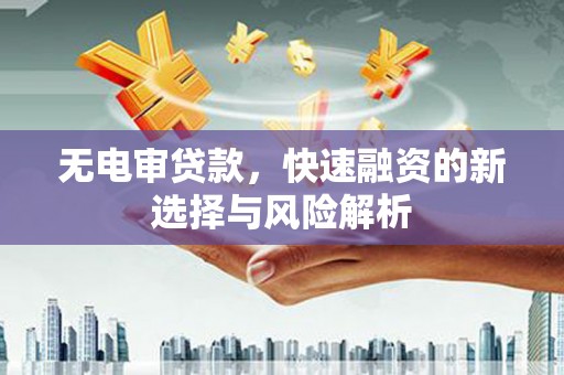 衡东无电审贷款，快速融资的新选择与风险解析