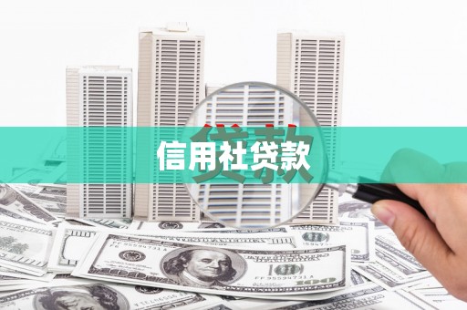 叙永信用社贷款