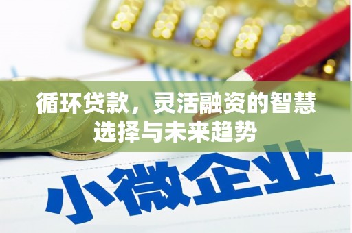 东乌旗循环贷款，灵活融资的智慧选择与未来趋势