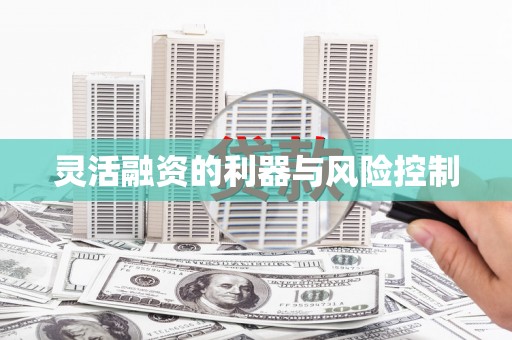 琼中灵活融资的利器与风险控制