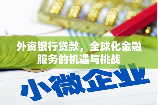 马山外资银行贷款，全球化金融服务的机遇与挑战