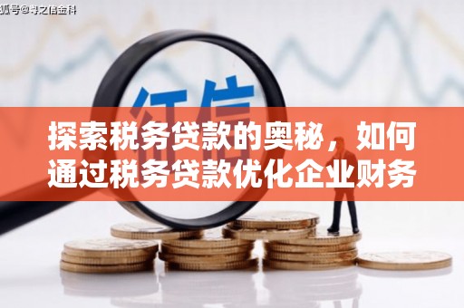 南宫探索税务贷款的奥秘，如何通过税务贷款优化企业财务