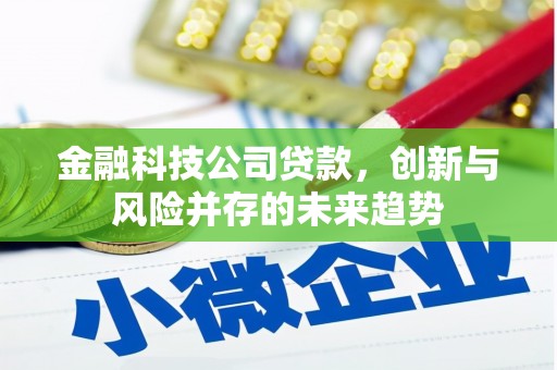 西螺金融科技公司贷款，创新与风险并存的未来趋势