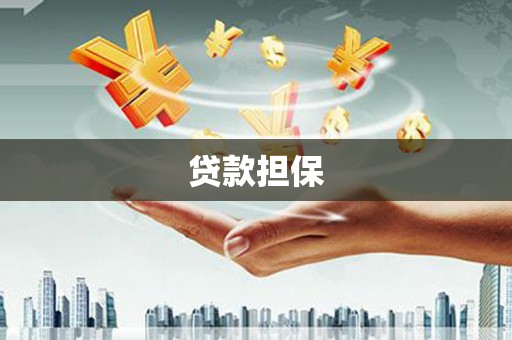 西吉贷款担保