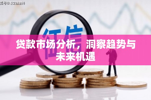 武义贷款市场分析，洞察趋势与未来机遇