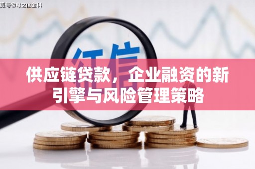 肃北供应链贷款，企业融资的新引擎与风险管理策略