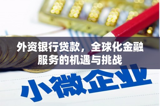 海北外资银行贷款，全球化金融服务的机遇与挑战