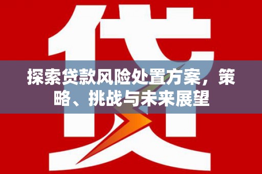 盐津探索贷款风险处置方案，策略、挑战与未来展望