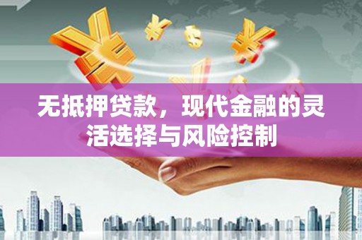 乐东无抵押贷款，现代金融的灵活选择与风险控制