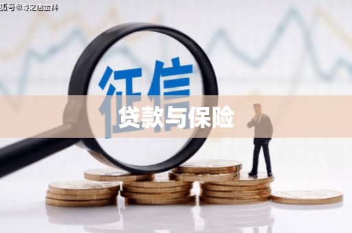 连山贷款与保险
