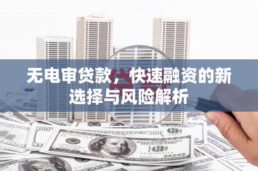 岭东无电审贷款，快速融资的新选择与风险解析