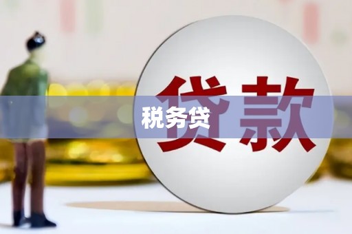 建宁税务贷