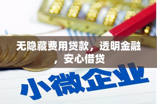 晋宁无隐藏费用贷款，透明金融，安心借贷