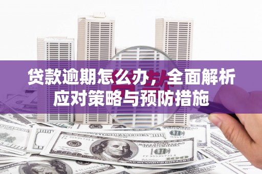 硚口贷款逾期怎么办，全面解析应对策略与预防措施