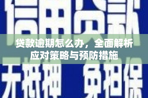 武安贷款逾期怎么办，全面解析应对策略与预防措施
