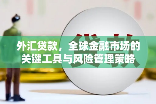 西峡外汇贷款，全球金融市场的关键工具与风险管理策略