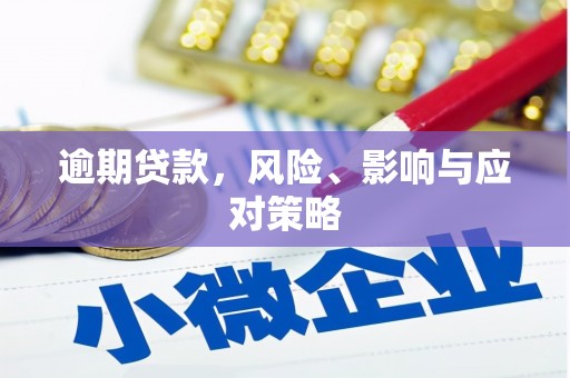 永嘉逾期贷款，风险、影响与应对策略