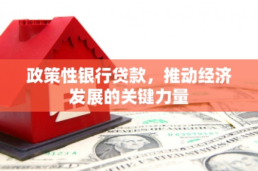 泰来政策性银行贷款，推动经济发展的关键力量