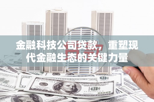 德江金融科技公司贷款，重塑现代金融生态的关键力量