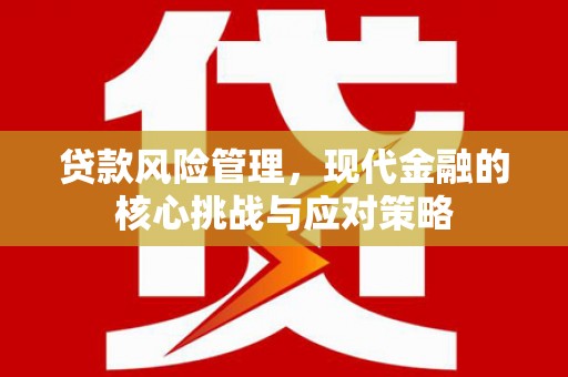 公安贷款风险管理，现代金融的核心挑战与应对策略